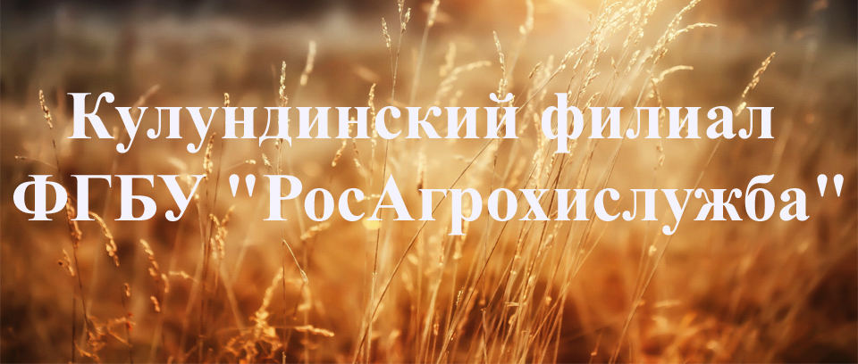 Кулундинский филиал ФГБУ 
